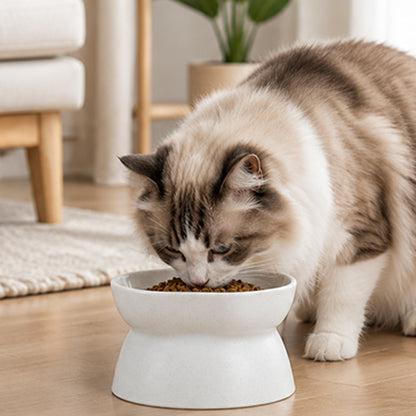 Elevated Pet Bowl